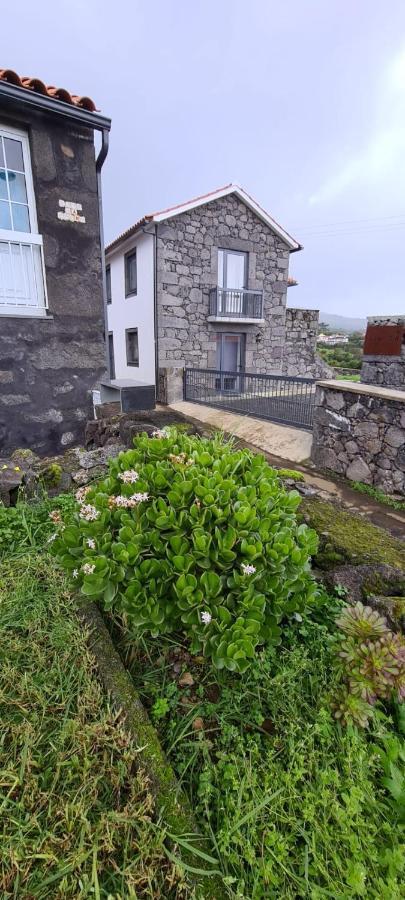 Maison d'hôtes Casa Do Antonio Julio à São Roque do Pico Extérieur photo